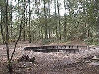 de kampvuurkuil midden in het bos